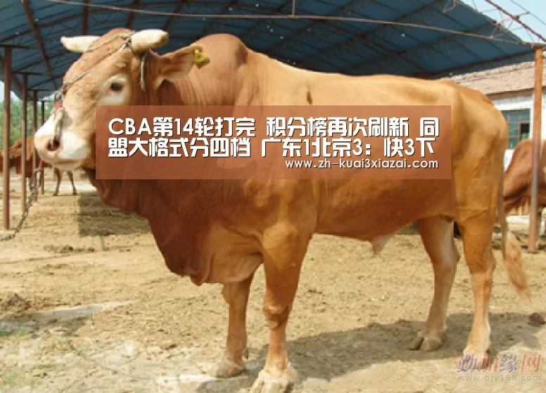 CBA第14轮打完 积分榜再次刷新 同盟大格式分四档 广东1北京3:快3下载(图5) 快3下载